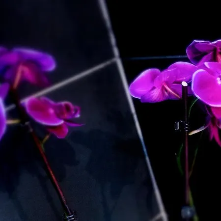 가브리엘라 호텔